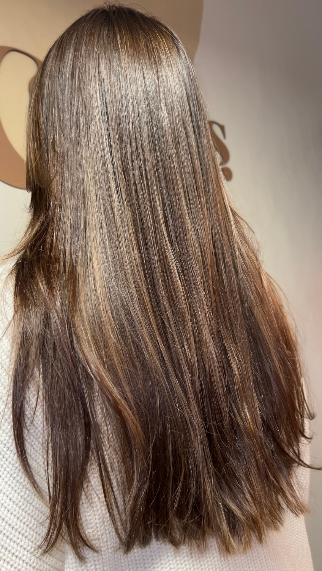 Sleek, straight brunette hair with warm highlights, seen from behind